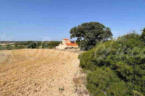 Farm hus i Almansa, Albacete, Almansa - € 560.000 | Ref: SF0516 - foto 35